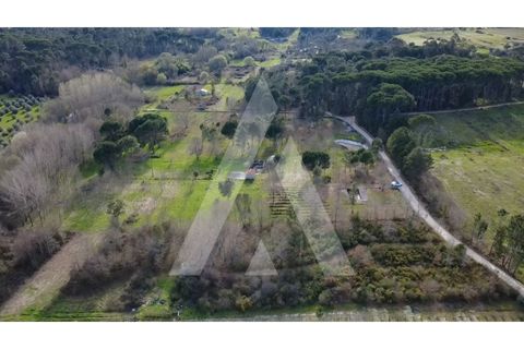 Farm i Santar e Moreira, Viseu, Santar e Moreira - € 125.000 | Ref: 1180561/25VS - foto 9