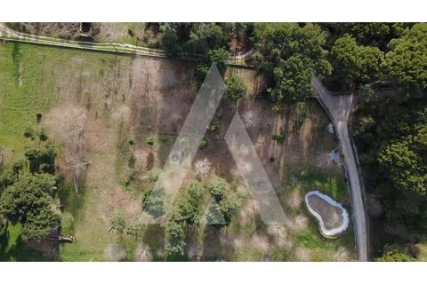 Farm i Santar e Moreira, Viseu, Santar e Moreira - € 125.000 | Ref: 1180561/25VS - foto 10