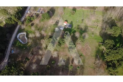 Farm i Santar e Moreira, Viseu, Santar e Moreira - € 125.000 | Ref: 1180561/25VS - foto 11