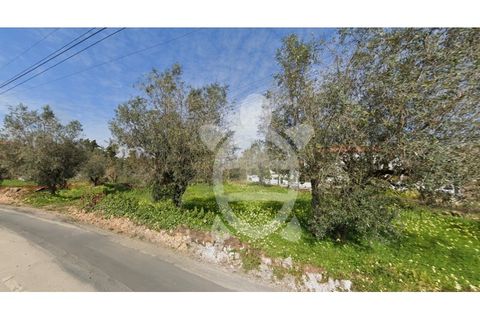 Helårsgrund i Coimbra, Coimbra, Coimbra - € 59.000 | Ref: cbr3316 - foto 3