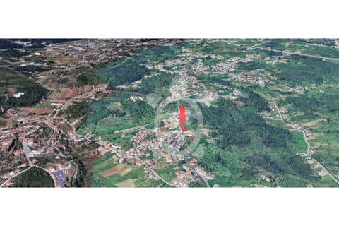 Helårsgrund i Coimbra, Coimbra, Coimbra - € 59.000 | Ref: cbr3316 - foto 11