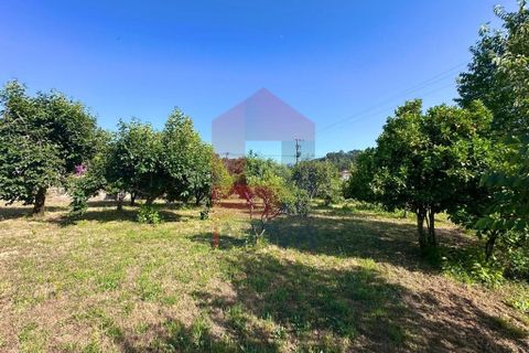 Byhus i Vila Verde, Braga, Vila Verde - € 200.000 | Ref: 08654 - foto 21
