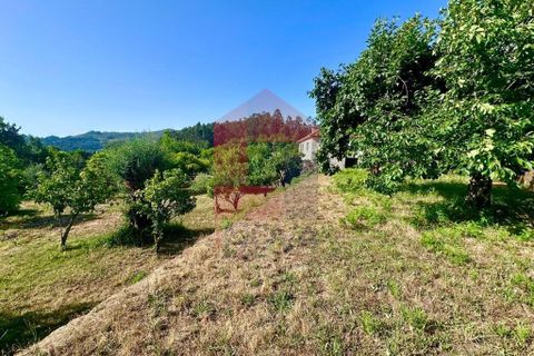 Byhus i Vila Verde, Braga, Vila Verde - € 200.000 | Ref: 08654 - foto 25