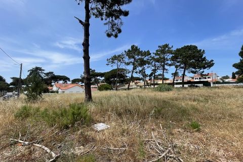 Helårsgrund i Almocageme, Lisbon, Almocageme - € 1.800.000 | Ref: TER_71 - foto 5