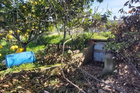 Helårsgrund i Moura, Beja, Moura - € 180.000 | Ref: C0486-00178 - foto 9