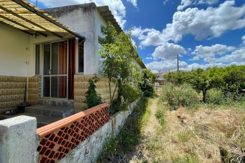 Helårsgrund i Moura, Beja, Moura - € 180.000 | Ref: C0486-00178 - foto 14