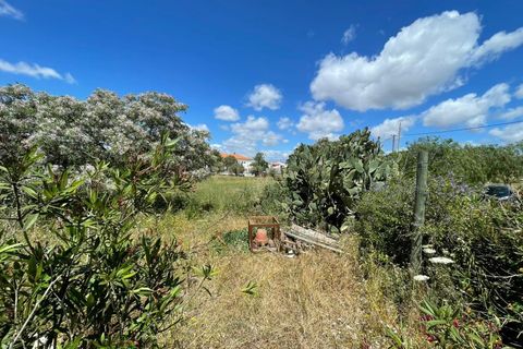Helårsgrund i Moura, Beja, Moura - € 180.000 | Ref: C0486-00178 - foto 19