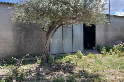 Helårsgrund i Moura, Beja, Moura - € 180.000 | Ref: C0486-00178 - foto 22