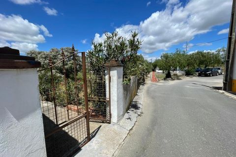 Helårsgrund i Moura, Beja, Moura - € 180.000 | Ref: C0486-00178 - foto 23