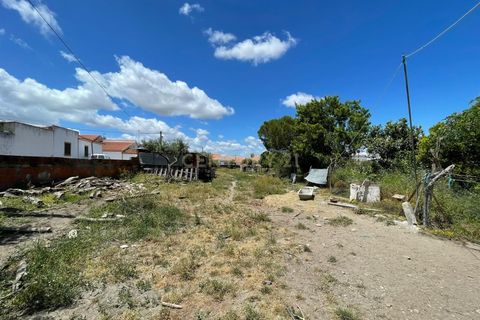 Helårsgrund i Moura, Beja, Moura - € 180.000 | Ref: C0486-00178 - foto 24
