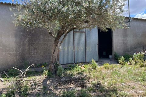 Helårsgrund i Moura, Beja, Moura - € 180.000 | Ref: C0486-00178 - foto 25
