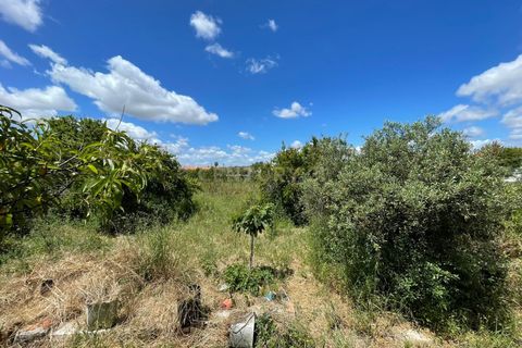 Helårsgrund i Moura, Beja, Moura - € 180.000 | Ref: C0486-00178 - foto 26