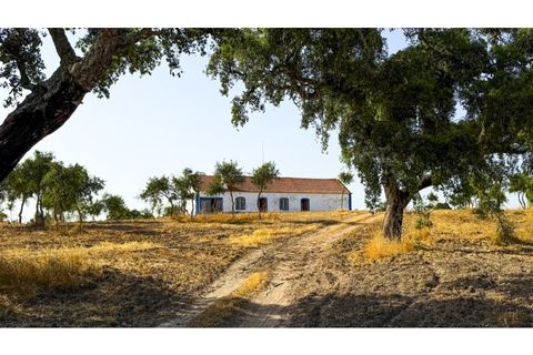Landejendom i Sines, Setubal, Sines - € 2.500.000 | Ref: #049 - foto 4