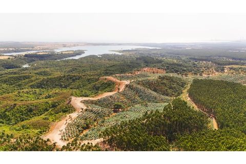 Landejendom i Sines, Setubal, Sines - € 2.500.000 | Ref: #049 - foto 6