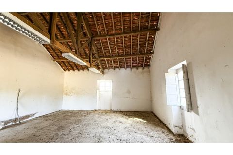 Landejendom i Sines, Setubal, Sines - € 2.500.000 | Ref: #049 - foto 7