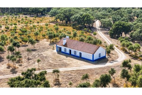 Landejendom i Sines, Setubal, Sines - € 2.500.000 | Ref: #049 - foto 3
