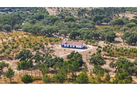 Landejendom i Sines, Setubal, Sines - € 2.500.000 | Ref: #049 - foto 10