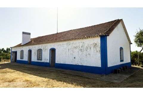 Landejendom i Sines, Setubal, Sines - € 2.500.000 | Ref: #049 - foto 11