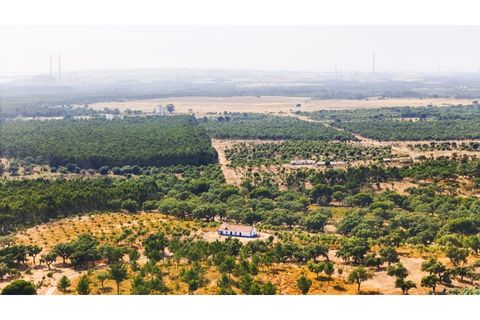 Landejendom i Sines, Setubal, Sines - € 2.500.000 | Ref: #049 - foto 13