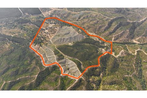 Landejendom i Sines, Setubal, Sines - € 2.500.000 | Ref: #049 - foto 5