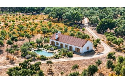 Landejendom i Sines, Setubal, Sines - € 2.500.000 | Ref: #049 - foto 2
