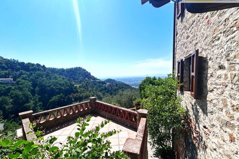 Villa i Camaiore, Lucca, Camaiore - € 419.000 | Ref: fdm560 - foto 17
