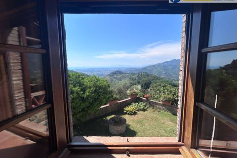Villa i Camaiore, Lucca, Camaiore - € 419.000 | Ref: fdm560 - foto 25