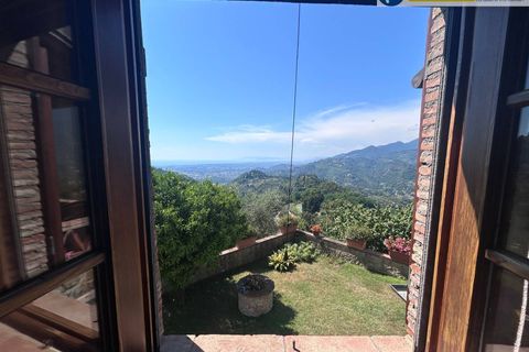 Villa i Camaiore, Lucca, Camaiore - € 419.000 | Ref: fdm560 - foto 44