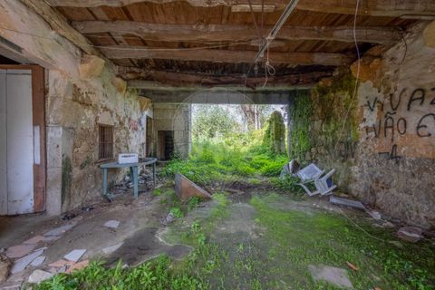 Villa a Valenca, Viana do Castelo, Valenca - € 240.000 | Ref: 123331212-70 - foto 7