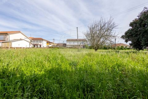 Villa a Valenca, Viana do Castelo, Valenca - € 240.000 | Ref: 123331212-70 - foto 9
