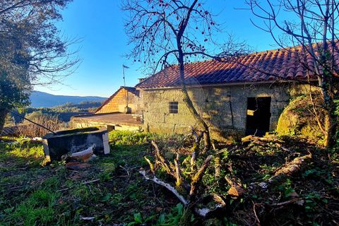Villa i Vieira do Minho, Braga, Vieira do Minho - € 120 000 | Ref: 125901007-245 - foto 3