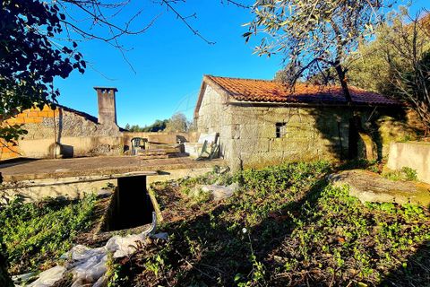 Villa i Vieira do Minho, Braga, Vieira do Minho - € 120 000 | Ref: 125901007-245 - foto 10