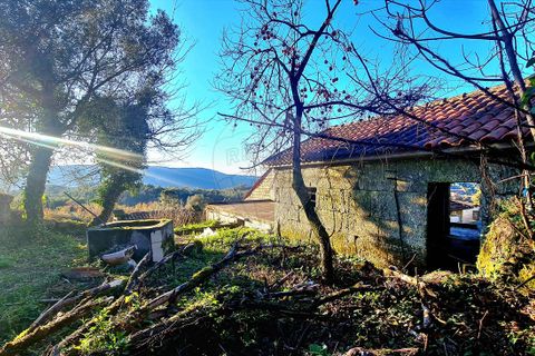 Villa i Vieira do Minho, Braga, Vieira do Minho - € 120 000 | Ref: 125901007-245 - foto 11