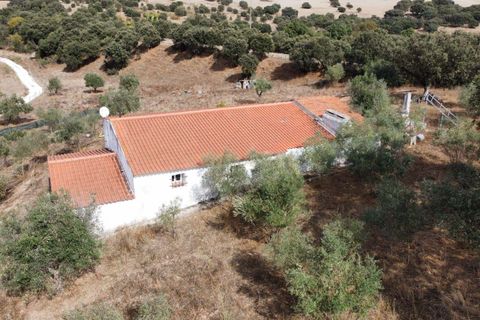 Villa i Sousel, Portalegre, Sousel - € 130.000 | Ref: C0440-00635 - foto 15