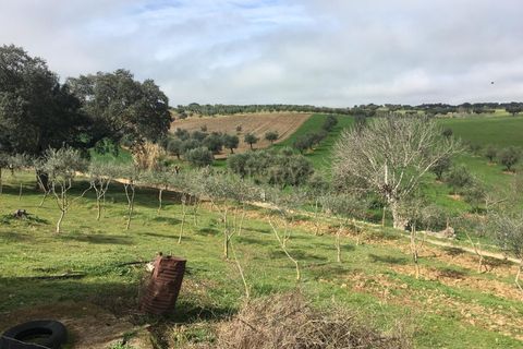 Villa i Sousel, Portalegre, Sousel - € 130.000 | Ref: C0440-00635 - foto 17