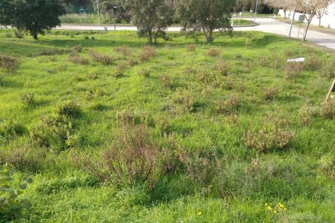 Helårsgrund i Entroncamento, Santarem, Entroncamento - € 33.000 | Ref: C0452-00282 - foto 4