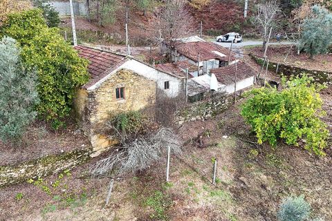 Villa i Cabeceiras de Basto, Braga, Cabeceiras de Basto - € 199.000 | Ref: 126311008-64 - foto 4