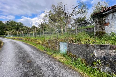 Villa i Arcos de Valdevez, Viana do Castelo, Arcos de Valdevez - € 49.500 | Ref: 123331167-529 - foto 5