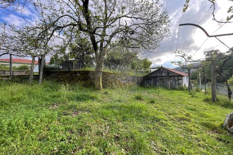 Villa i Arcos de Valdevez, Viana do Castelo, Arcos de Valdevez - € 49.500 | Ref: 123331167-529 - foto 7