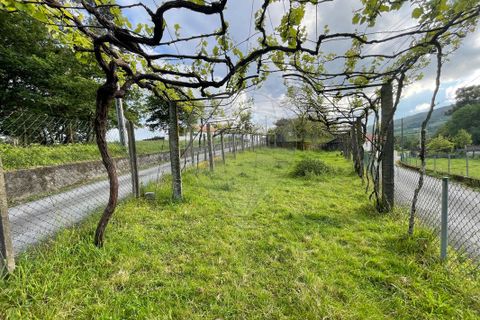 Villa i Arcos de Valdevez, Viana do Castelo, Arcos de Valdevez - € 49.500 | Ref: 123331167-529 - foto 8
