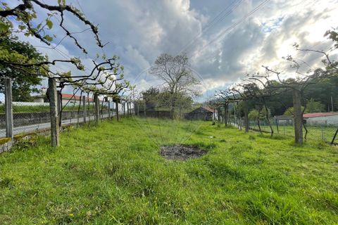 Villa i Arcos de Valdevez, Viana do Castelo, Arcos de Valdevez - € 49.500 | Ref: 123331167-529 - foto 9