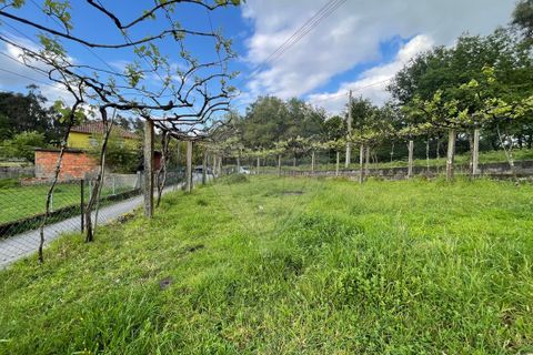 Villa i Arcos de Valdevez, Viana do Castelo, Arcos de Valdevez - € 49.500 | Ref: 123331167-529 - foto 11