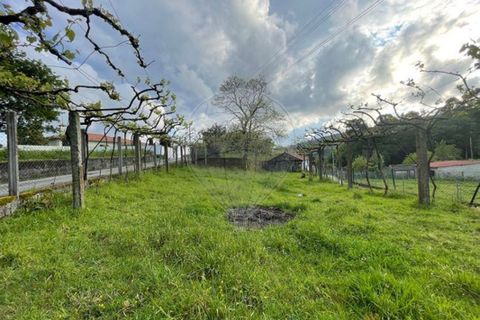 Villa i Arcos de Valdevez, Viana do Castelo, Arcos de Valdevez - € 49.500 | Ref: 123331167-529 - foto 13