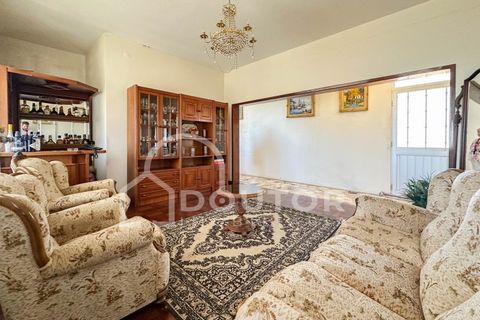Villa i Ribeira Brava, Madeira, Ribeira Brava - € 498.000 | Ref: DR469 - foto 6