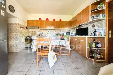 Villa i Ribeira Brava, Madeira, Ribeira Brava - € 498.000 | Ref: DR469 - foto 12