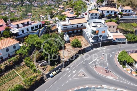 Villa i Ribeira Brava, Madeira, Ribeira Brava - € 498.000 | Ref: DR469 - foto 26