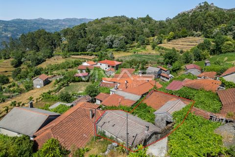 Villa a Terras de Bouro, Braga, Terras de Bouro - € 99.500 | Ref: 01-3652 - foto 3