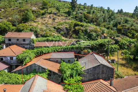 Villa a Terras de Bouro, Braga, Terras de Bouro - € 99.500 | Ref: 01-3652 - foto 4