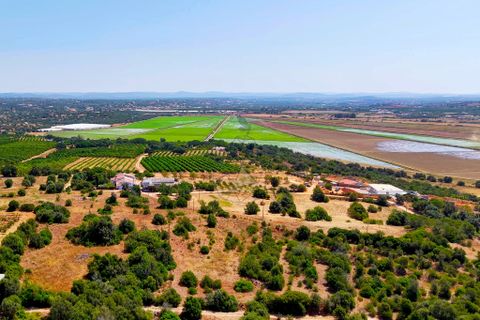 Villa i Silves, Faro, Silves - € 2.450.000 | Ref: OB020 SI - foto 43