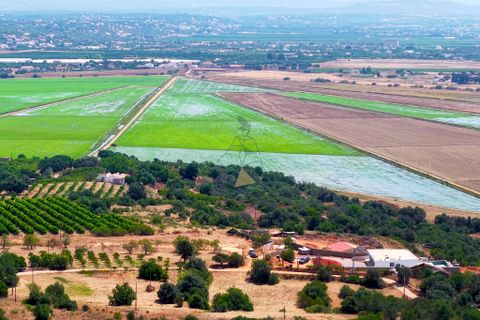 Villa i Silves, Faro, Silves - € 2.450.000 | Ref: OB020 SI - foto 44